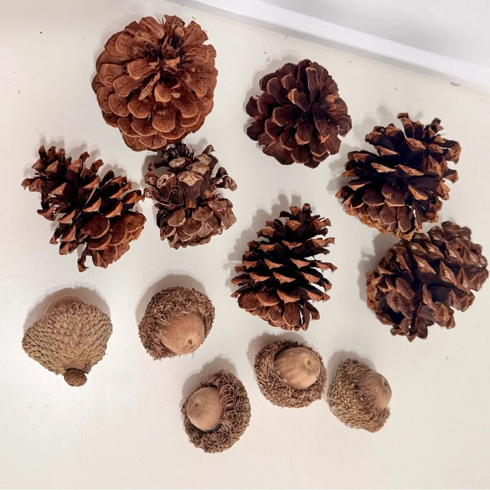 12 Pc. Natural Pinecone & Acorn Set for Rustic Floral Arrangement Wreath Crafts
